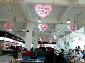 遂宁食堂爆料事件视频,视频揭露惊人内幕，食品安全引关注